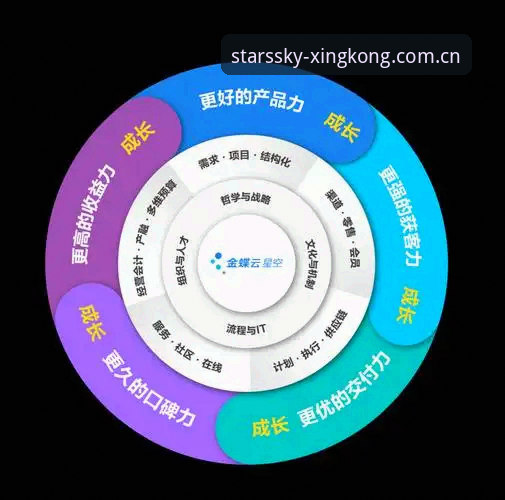 域内主入口V2.5结构升级实用指南：三步解决星空CN登录失败